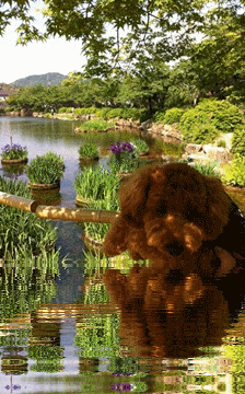 b74.gif